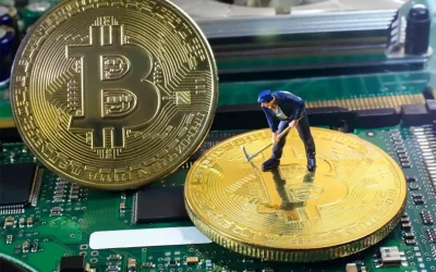 Mineros de Bitcoin siguen siendo optimistas a pesar del mercado bajista.