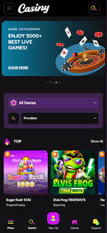 Discover the Exciting World of Gambling at Casiny1