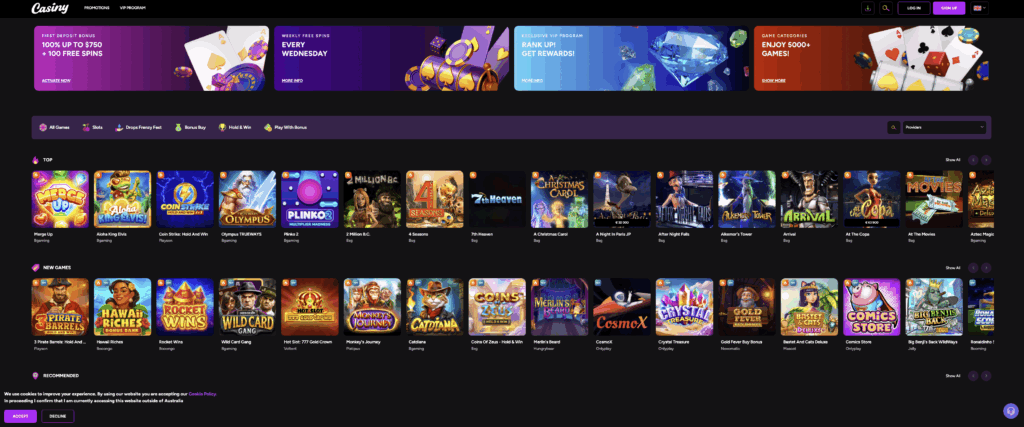Experience the Thrill of Online Gambling at Casiny Casino