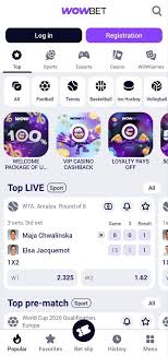 wowbet легально Обзор и особенности wowbet легально Обзор и особенности