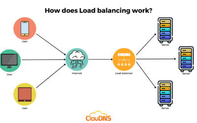 Check How Much Does Hosting Value