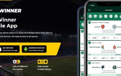 Discover the Exciting World of BetWinner Casino Games